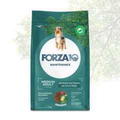 FORZA10 MEDIUM ADULT MAINTENANCE CERVO E PATATE 11-35 KG