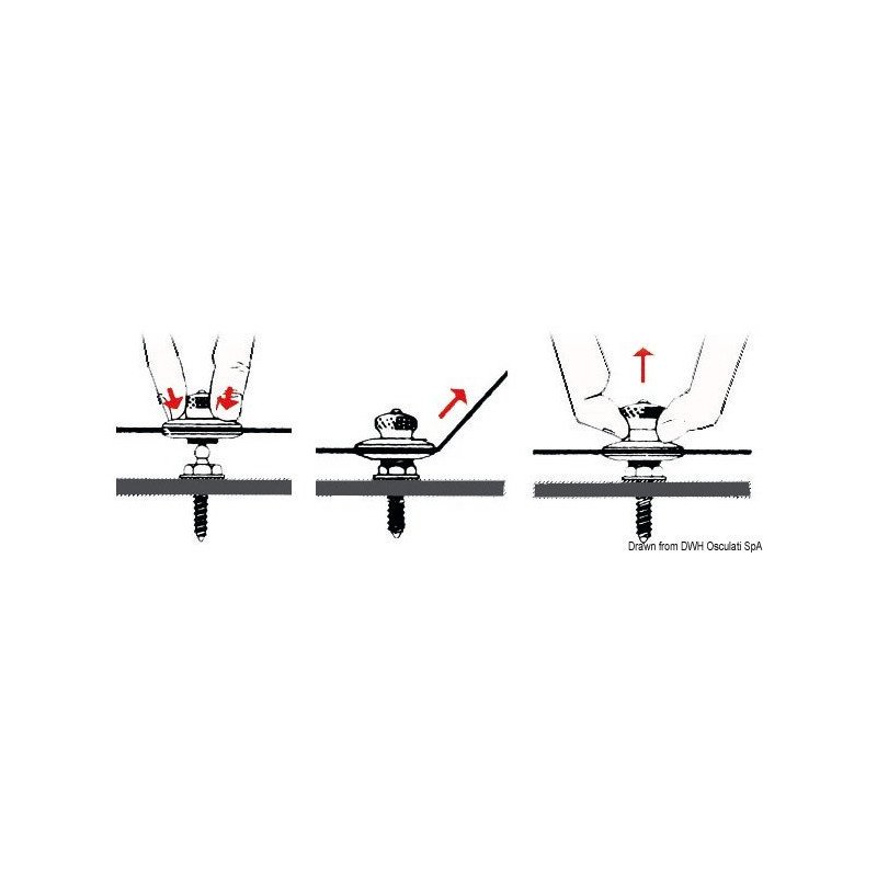 BOTTONE MASCHIO LOXX CON PIASTRINA