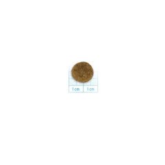 FORZA10 ALL SIZE ADULT MAINTENANCE MAIALE 1-70 KG