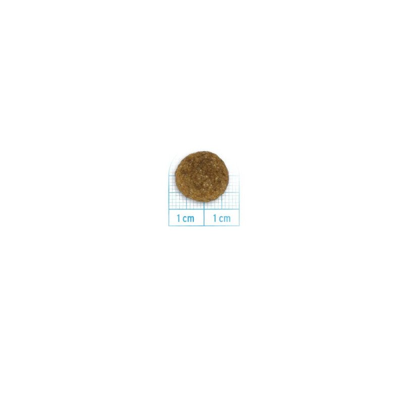 FORZA10 ALL SIZE ADULT MAINTENANCE MAIALE 1-70 KG
