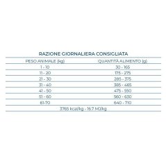 FORZA10 ALL SIZE ADULT MAINTENANCE MAIALE 1-70 KG