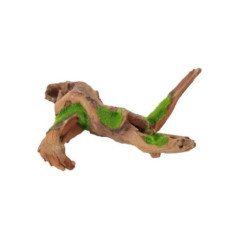 ZOLUX RADICE DI LEGNO MALESIA KIPOUSS M