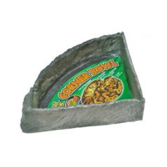 ZOOMED REPTI ROCK CIOTOLA ANGOLARE