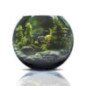 AMTRA ACQUARIO CRYSTAL GLOBE