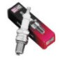 CANDELA CHAMPION RA8HC