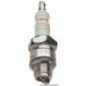 CANDELA CHAMPION RA8HC