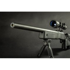 EVOLUTION FUCILE M40