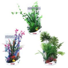 AMTRA WONDER PLANT SERIES “H” 30-35 CM
