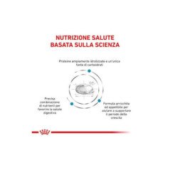 ROYAL CANIN HYPOALLERGENIC PUPPY DOG