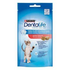PURINA DENTALIFE SALMONE