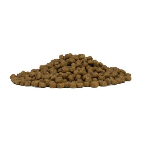 FORZA10 MINI TOY ADULT MONODIET CAVALLO E PISELLI 1-10KG