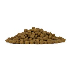 FORZA10 MINI ADULT MONODIET CERVO E PATATE 1-10KG