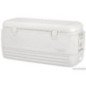 OSCULATI GHIACCIAIA IGLOO PORTATILE POLAR 120