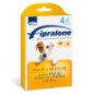 FIPRALONE SPOT ON CANE 4 PIPETTE 2-10KG