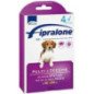 FIPRALONE SPOT ON CANE 4 PIPETTE 10-20KG