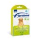 FIPRALONE SPOT ON CANE 4 PIPETTE 20-40KG