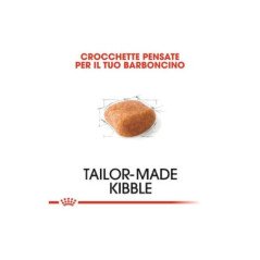 ROYAL CANIN ADULT POODLE BARBONCINO