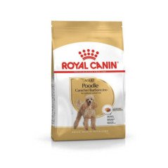 ROYAL CANIN ADULT POODLE BARBONCINO