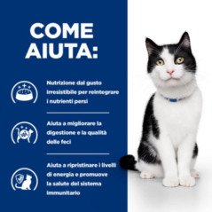 HILL'S GATTO UMIDO DIGESTIVE CARE I/D SALMONE 85GR