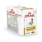ROYAL CANIN URINARY DOG S/O 100GR