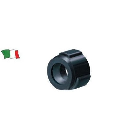 EXPERT GALLEGGIANTE SPIGOLA PIOMBATO PORTASTARLIGHT