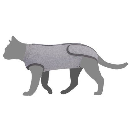 CAMON TUTINA POST OPERATORIA GATTO