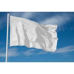 GFN BANDIERA BIANCA DI SEGNALAZIONE IN STAMINA