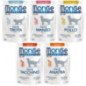 MONGE GATTO PATE' MONOPROTEICI 85GR