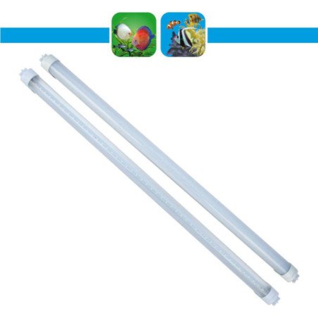 PRODAC LAMPADA LED T8 6500K OPACA