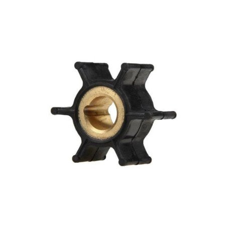 BRP EVINRUDE GIRANTE PER FUORIBORDO