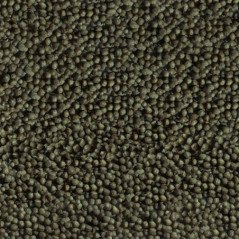 SERA GOLDY COLOR SPIRULINA NATURE PER PESCI ROSSI