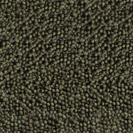 SERA GOLDY COLOR SPIRULINA NATURE PER PESCI ROSSI