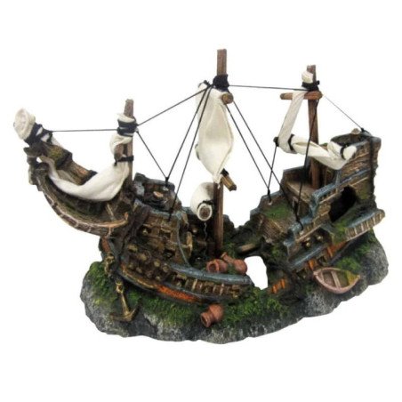 CROCI AMTRA RELITTO SU ROCCE