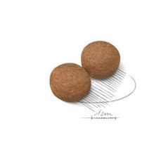 ROYAL CANIN MAXI ADULT