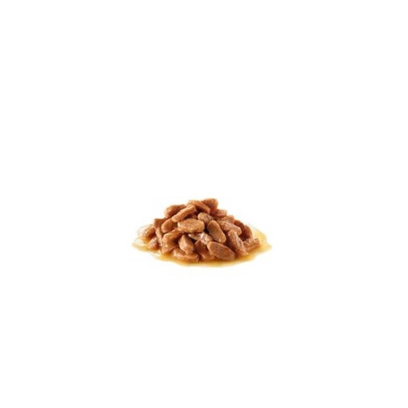 ROYAL CANIN KITTEN STERILISED BUSTINA IN SALSA 85GR