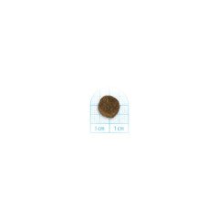 FORZA10 MINI ADULT MAINTENANCE CERVO CON PATATE 1-10KG