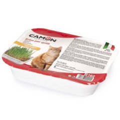 CAMON ERBA PER GATTI CON SEMI DI ORZO