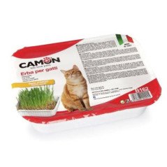 CAMON ERBA PER GATTI CON SEMI DI ORZO