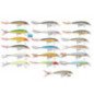 RAPALA ARTIFICIALI X-RAP 6CM XR06