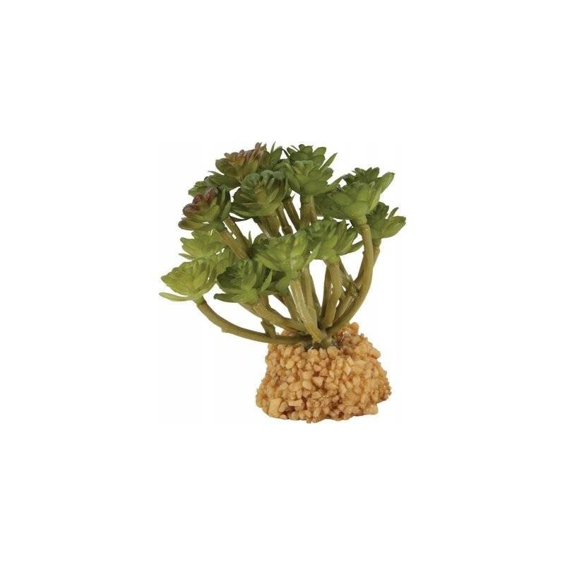 ZOLUX PIANTA "GRASSALA" PER DECORAZIONE DEL TERRARIO