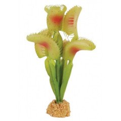 ZOLUX PIANTA CARNIVORA PER DECORAZIONE DEL TERRARIO