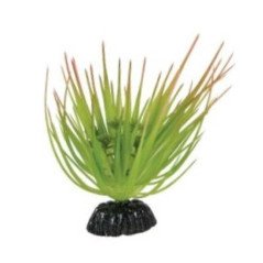 ZOLUX PIANTA TROPICALE PER DECORAZIONE DEL TERRARIO