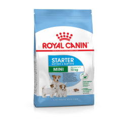 ROYAL CANIN MINI STARTER MOTHER E BABYDOG 1KG