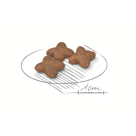 ROYAL CANIN MINI ADULT