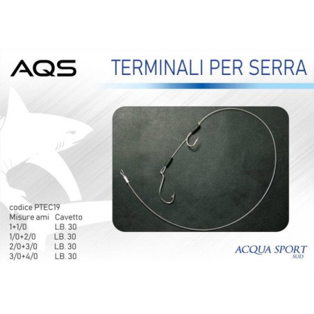 AQS TERMINALE 2 AMI PER SERRA