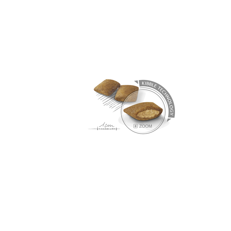 ROYAL CANIN MINI EXIGENT