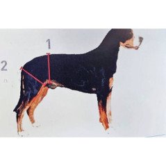 LEOPET PROFI DOG SUPPORTI PER GLI ARTI POSTERIORI