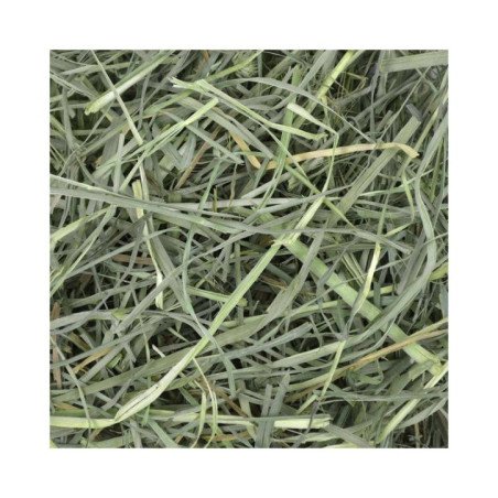 OXBOW ORCHARD GRASS HAY FIENO PER CONIGLI E RODITORI 425GR