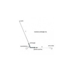 AQS LEDGER BOOMS CONF. 3 PZ