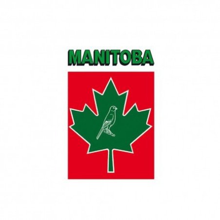 MANITOBA MISCELA CANARINI T3 20KG